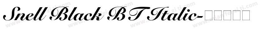 Snell Black BT Italic字体转换